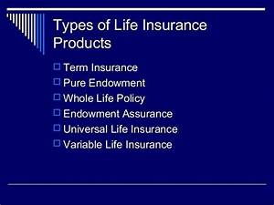 Different Types Of Life Insurance Products The Dias Family Adventures