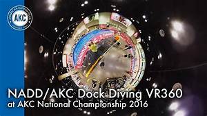 Nadd Akc Dock Diving Vr360 At Akc National Championship 2016 Orlando