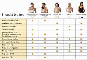 Perfume Scent How To Choose The Proper Bra History Of Cosmetic