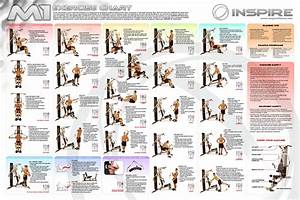 Home Gym Exercises Chart Pdf Infoupdate Org Workout Chart Gym