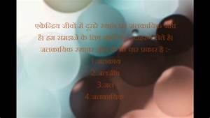 Introduction Of Jiva Part 2 Hindi Youtube