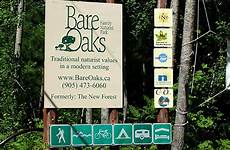 oaks bare naturist family park bareoaks