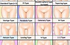 pussy chart gap mound thigh rule34 crotch thighs venus respond edit translated