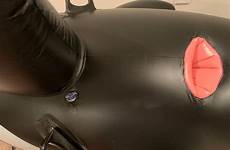 inflatable whale aufblasbare wal aufblasbarer pleasure