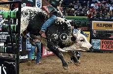 bullriding