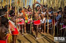 swaziland umhlanga swazi agefotostock unmarried ceremony x3n