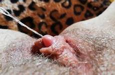 erect clit clitoris erection erected masturbating grool thumbzilla