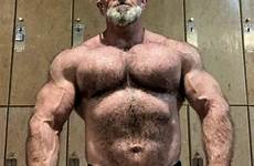hairy bodybuilders senior daddy bearded daddies beefy cairns bodybuilding