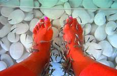 fish feet spa