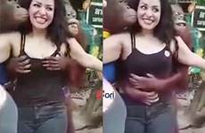 apes groped boobs