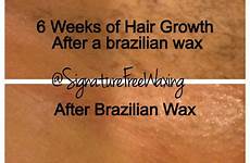 waxing receiving brasilian brazil waxed routines ingrown