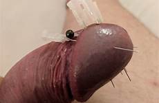 cock needle cbt piercing