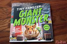 hamster giant growingupmadison