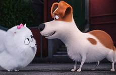 pets secret life animation dog movies wallpaper pc cartoon resolution