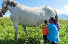 milk horse breast timetravelturtle mare mares kyrgyzstan similar drinking demotix source foal