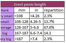 erect condom circumference girth