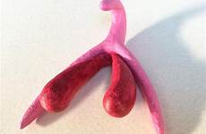 clitoris 3d female vagina genitalia stumps clit printed part shows hindi sexy printing much looks body know look would