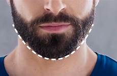 beard neckline trim perfect trimming shape grooming where men stop philips line style shaping hair shapes usa shaving facial look