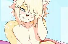 furry tokifuji solo newhalf canine femboy xxx nude waking bed eyes artist yiff just comments patreon dreamy post respond edit