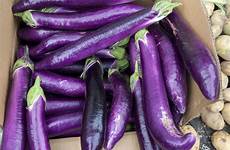 eggplant types cui feifei