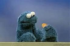 gif cookie monster eating gifs animated sesame street giphy eat muppets cookiemonster crazy tank tumblr everything has should