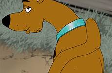 gay scooby doo sex anal xxx male zoophilia beastiality dog feral rule34 ass human canine anus doberman edit respond deletion