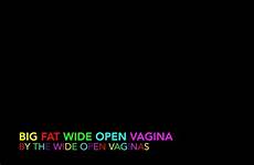 vaginas