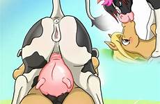 sex horse pussy xxx female feral ass udders bovine equine anus tongue rule34 mammal kissing deletion flag options edit respond