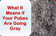 pubic hair grey gray pubes means going if