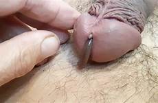 cock worms thisvid