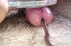 worm thisvid bizarre