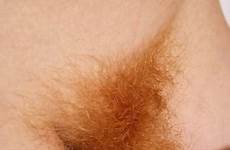 pubic freckles undressing redhead shaggy twat exposing