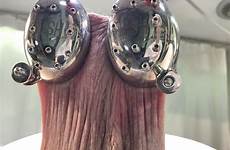 scrotum stretched spiked weights patient clips4sale