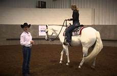 horse horsewoman wrangler whitney aqha amazinganimals demonstrates lagace horseback