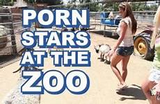 zoo pornhub videos