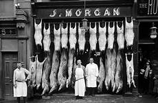 butcher slaughter 1873 butchers meat fronts ireland boucherie fridges kept slick