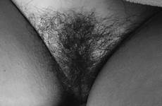 hair bush pussy pubic pubes hairy tumblr years share