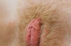 hairy pussy dick hair tiny lips big blonde mature beautiful long look silver clit clits blond hot puffy vaginas tumblr