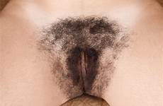 tumblr mega pussy bushes hairy big muff muffs pussies lisandra wow great posts share