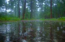 gif nature water living gifs stills cinemagraph rain giphy everything has