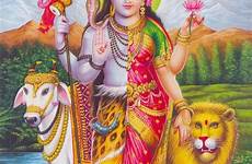 shiva parvati hinduism blow mind facts these will galleryhip indiatimes female male both