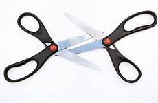 lesbian scissors sex