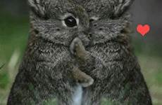 cute bunnies hugging hugs hug gif bunny animal ecard send customize