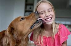 teens dog animals support emotional kids teenager help animal dogg vs katt