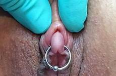 clit pierced clitoris clitless klitoris fgm clitoridectomy