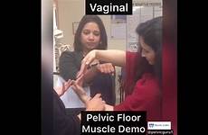 exam vaginal pelvic floor demonstration