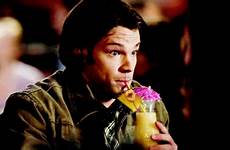 sam winchester supernatural friday tumblr freaky adorable s05 e12 gif why straw