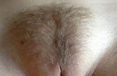 shaved pubic trimmed pussybook