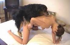 sexy female doggy bangs dog sucking girls beastiality dicks compilation young zootube1 angry slender tube videos zoo
