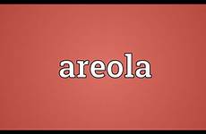 areola meaning wear carabao radiator especial argan